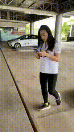 Họa mi ngừng hót 1 tháng.